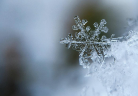 Qu’est-ce que la Cryothérapie ?
