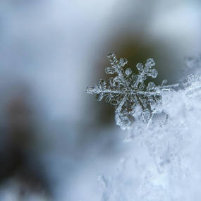 Qu’est-ce que la Cryothérapie ?